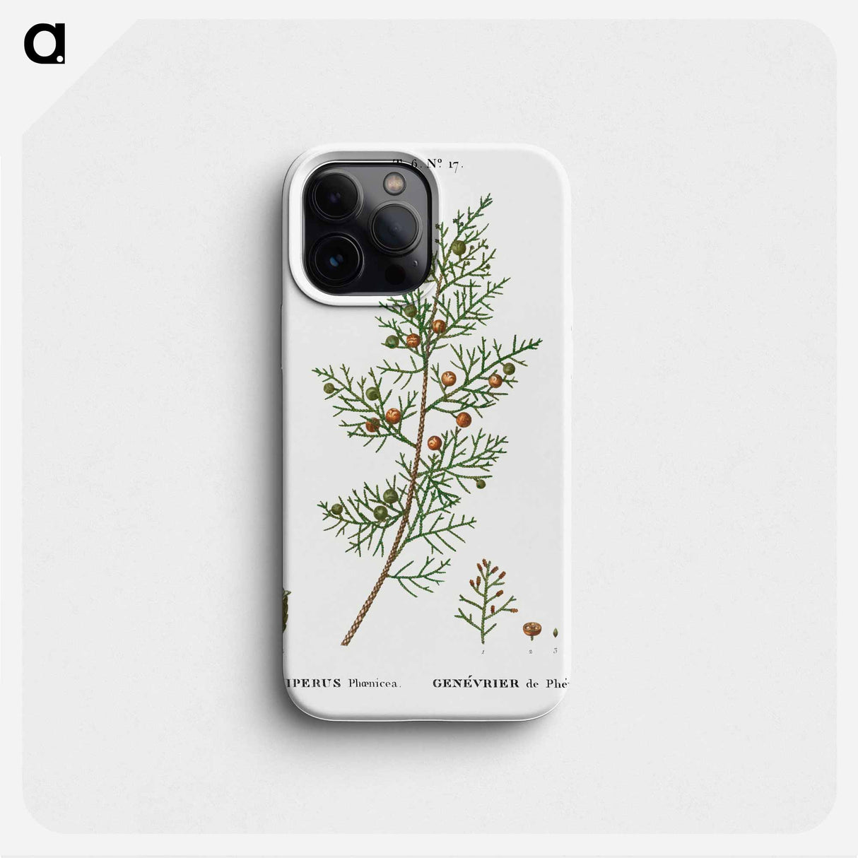 Phoenicean juniper, Juniperus phoenicea - Pierre Joseph Redouté Phone Case.