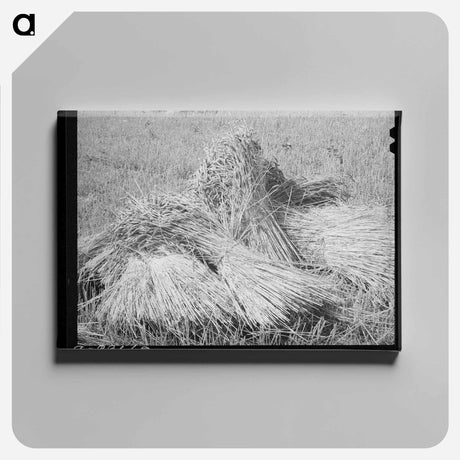 アートパネル-Slashings at Effie
 - ラッセル リー Canvas.