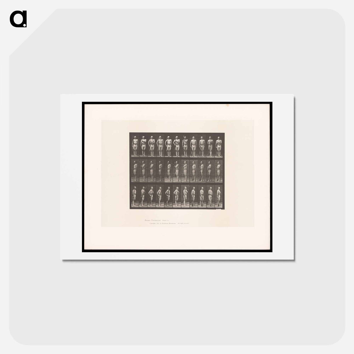 アートポストカード-Man with Rifle
 - エドワード マイブリッジ Postcard.
