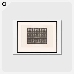 アートポストカード-Man with Rifle
 - エドワード マイブリッジ Postcard.