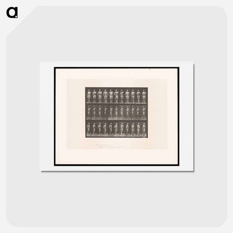 アートポストカード-Man with Rifle
 - エドワード マイブリッジ Postcard.