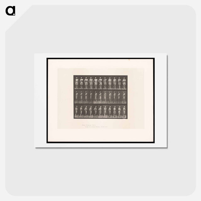 アートポストカード-Man with Rifle
 - エドワード マイブリッジ Postcard.