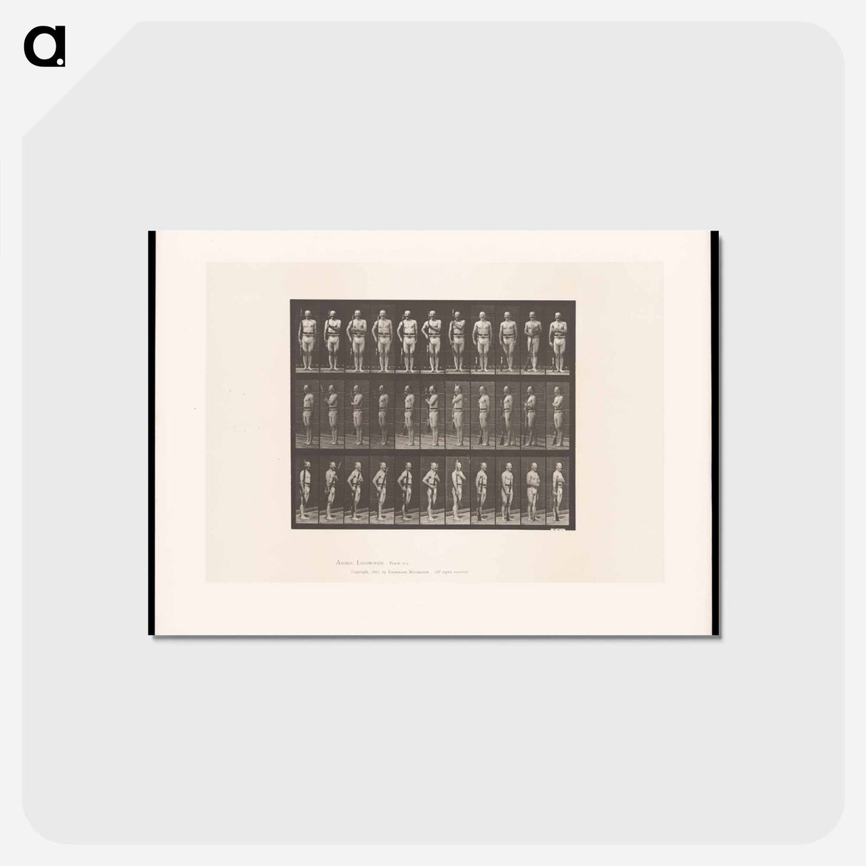 アートポストカード-Man with Rifle
 - エドワード マイブリッジ Postcard.