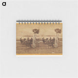 アートメモ帳-Mount Tamalpais, from State Prison, San Quentin
 - エドワード マイブリッジ Memo.