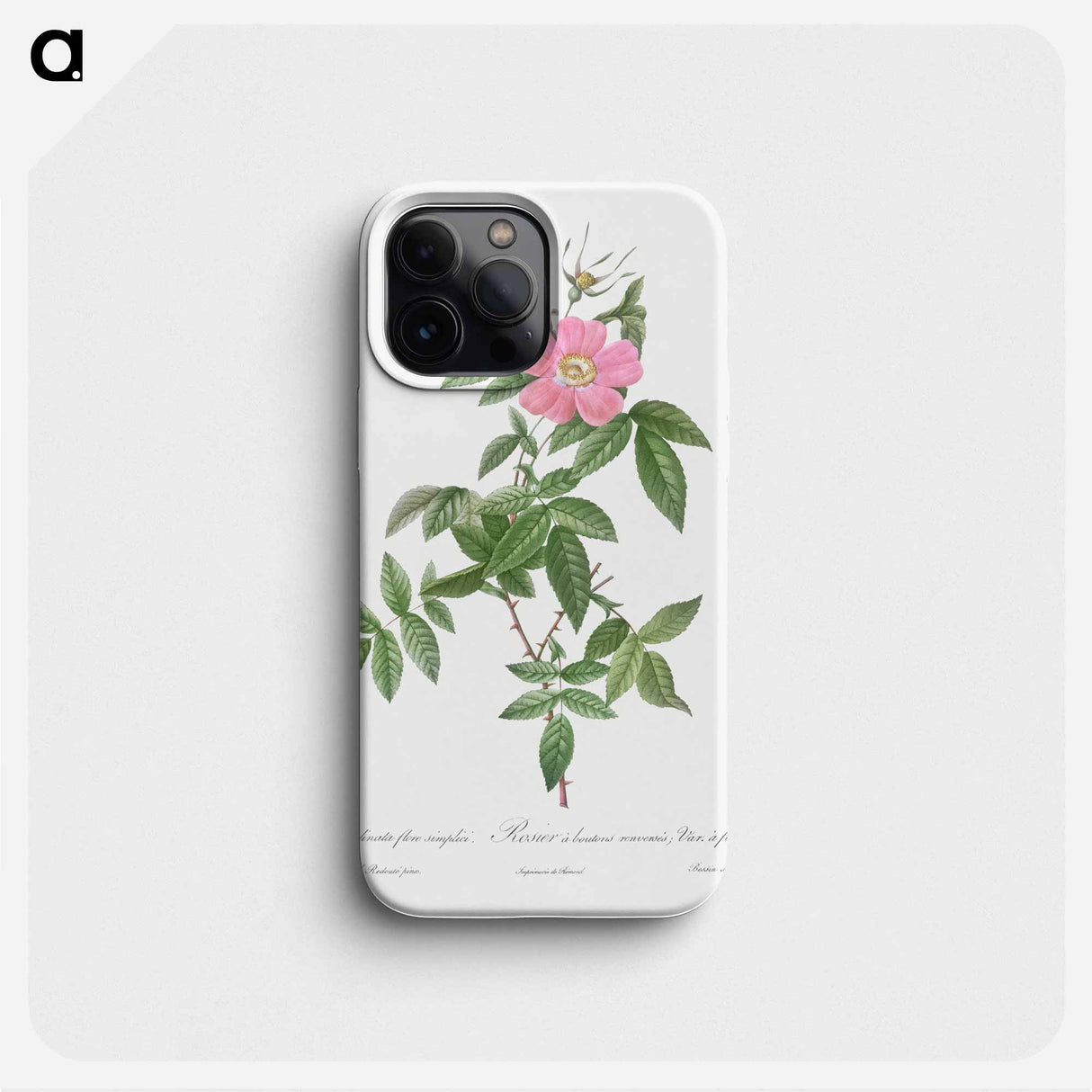 Boursault Rose - ピエール ジョゼフ ルドゥーテ Phone Case.