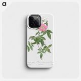 Boursault Rose - ピエール ジョゼフ ルドゥーテ Phone Case.