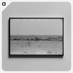 アートパネル-Mules, Lake Dick Cooperative Association
 - ラッセル リー Canvas.