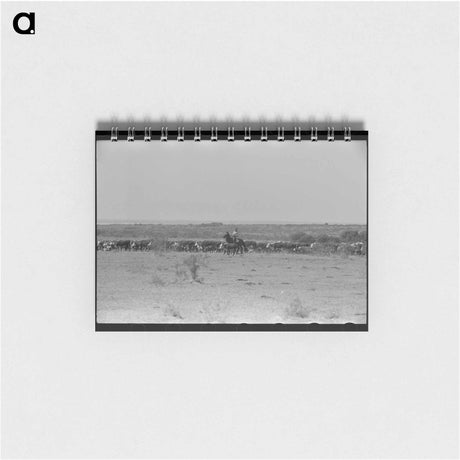 アートメモ帳-Mules, Lake Dick Cooperative Association
 - ラッセル リー Memo.