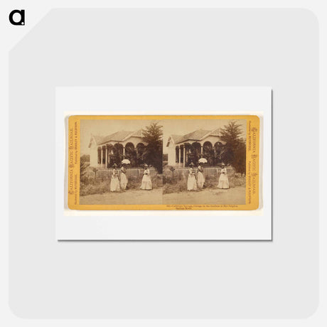 アートポストカード-Calistoga Springs, Cottage in the Gardens of Hot Sulphur Springs Hotel
 - エドワード マイブリッジ Postcard.