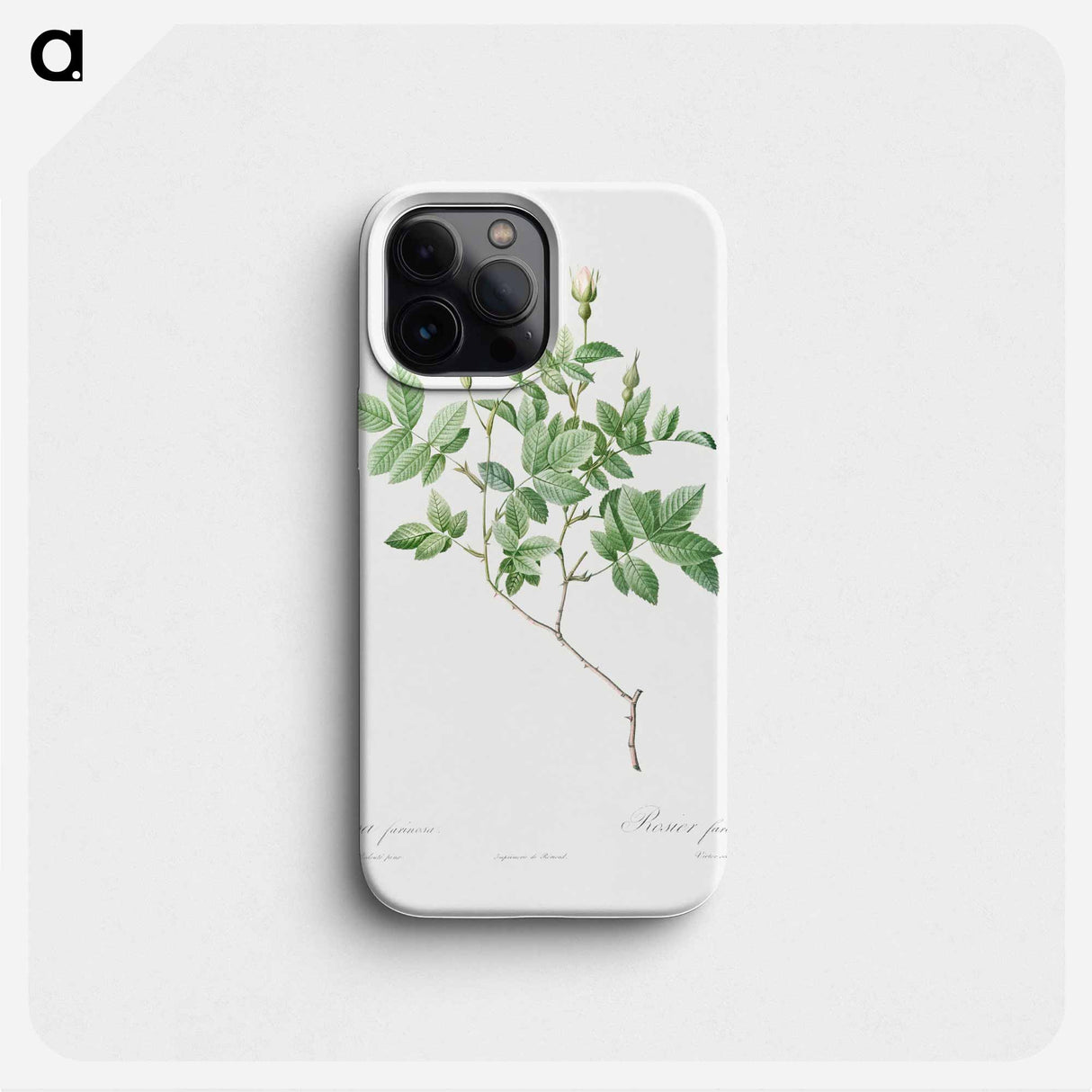 Farinose Rose - Pierre Joseph Redouté Phone Case.