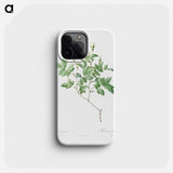 Farinose Rose - Pierre Joseph Redouté Phone Case.