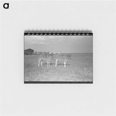 アートメモ帳-Grindstone, Winton, Minnesota
 - ラッセル リー Memo.