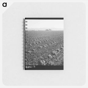 アートメモ帳-Untitled photo - ドロテア ラング Memo.