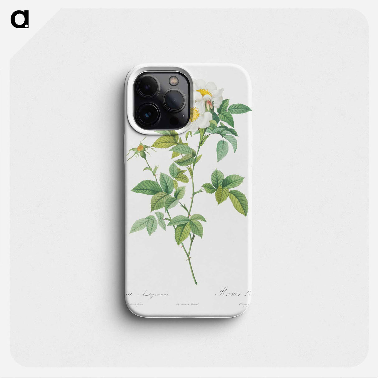 Field Rose - ピエール ジョゼフ ルドゥーテ Phone Case.