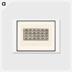 アートポストカード-Buffalo Walking
 - エドワード マイブリッジ Postcard.