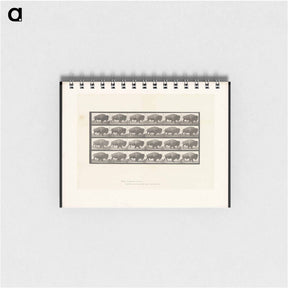 アートメモ帳-Buffalo Walking
 - エドワード マイブリッジ Memo.