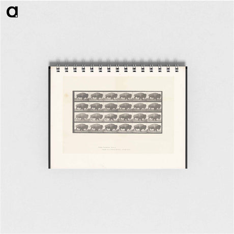アートメモ帳-Buffalo Walking
 - エドワード マイブリッジ Memo.