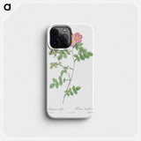 Sweetbriar - Pierre Joseph Redouté Phone Case.