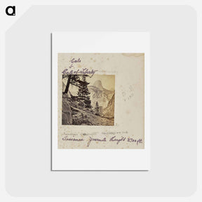 アートポストカード-Tissanac Yosemite
 - エドワード マイブリッジ Postcard.