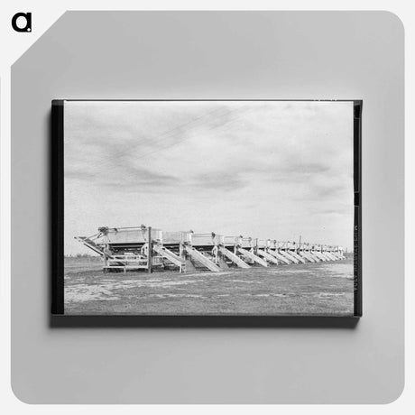 アートパネル-Levi Mills Farm
 - ラッセル リー Canvas.