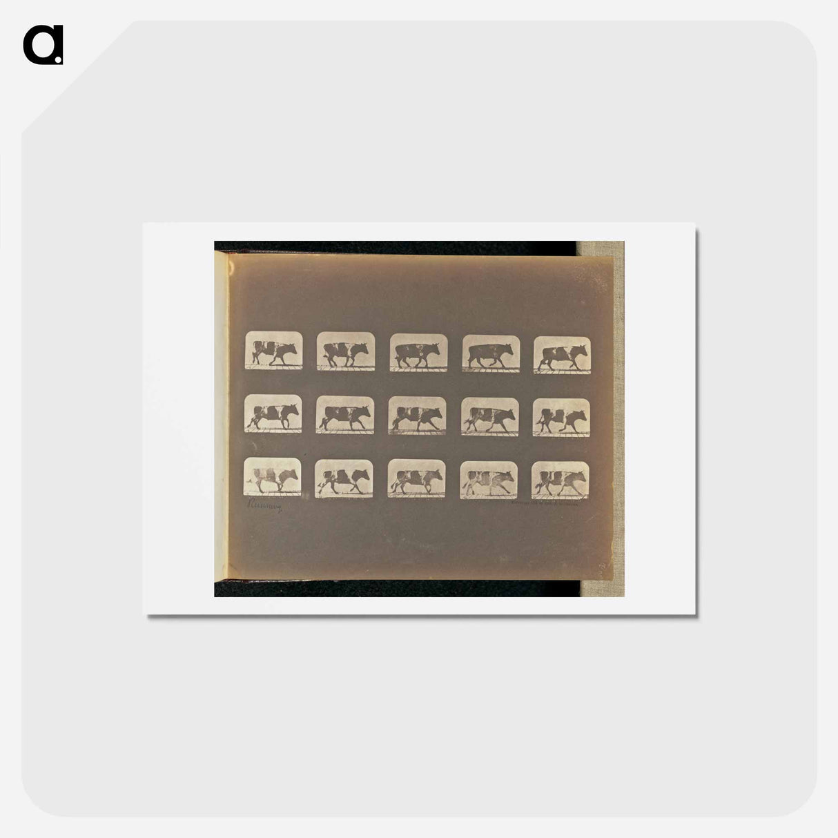 アートポストカード-Running
 - エドワード マイブリッジ Postcard.