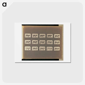 アートポストカード-Running
 - エドワード マイブリッジ Postcard.