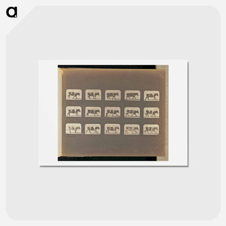 アートポストカード-Running
 - エドワード マイブリッジ Postcard.
