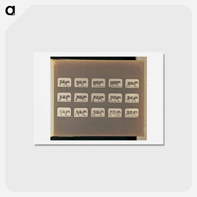 アートポストカード-Running
 - エドワード マイブリッジ Postcard.