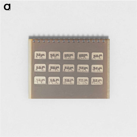 アートメモ帳-Running
 - エドワード マイブリッジ Memo.