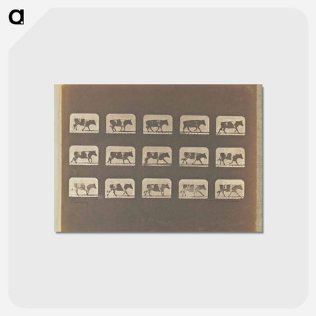 アートポストカード-Running
 - エドワード マイブリッジ Postcard.