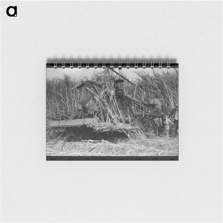 アートメモ帳-Cinder Blocks at Greendale
 - ラッセル リー Memo.