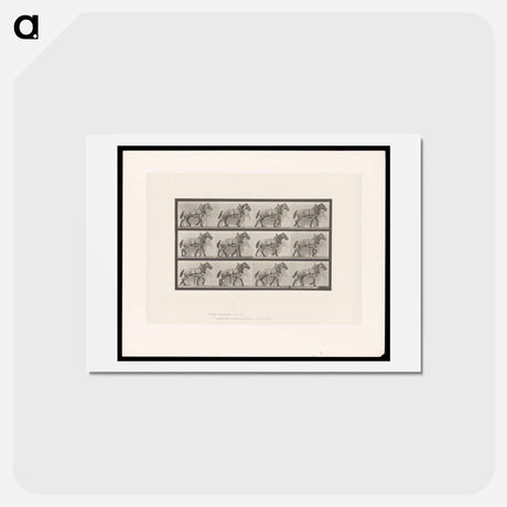 アートポストカード-Horse in Motion
 - エドワード マイブリッジ Postcard.