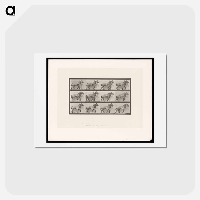 アートポストカード-Horse in Motion
 - エドワード マイブリッジ Postcard.