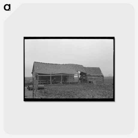アートポストカード-Sharecropper's Back Door
 - ラッセル リー Postcard.