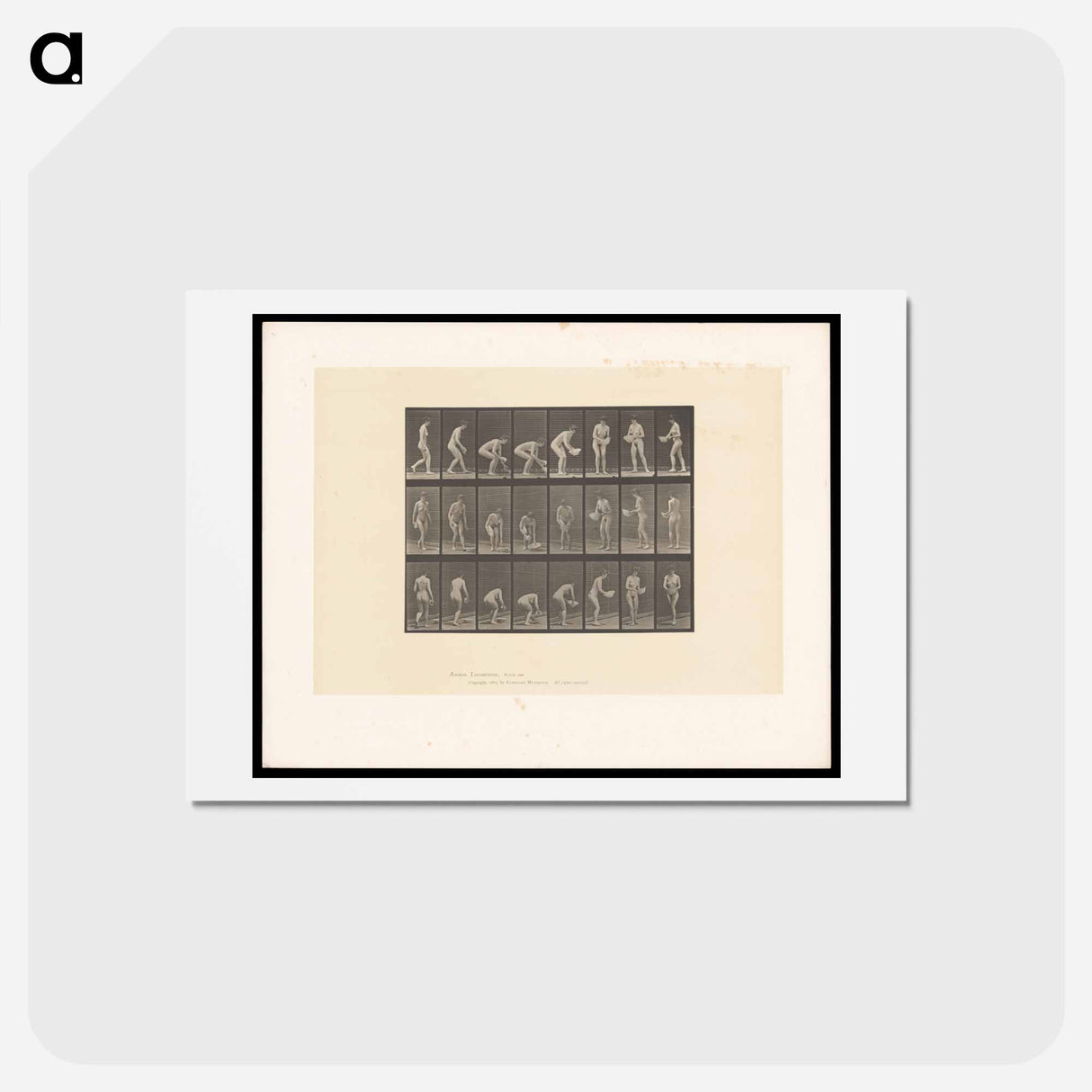 アートポストカード-Woman with Basin
 - エドワード マイブリッジ Postcard.