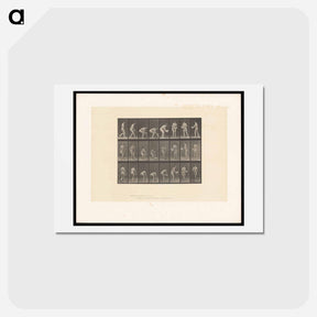アートポストカード-Woman with Basin
 - エドワード マイブリッジ Postcard.
