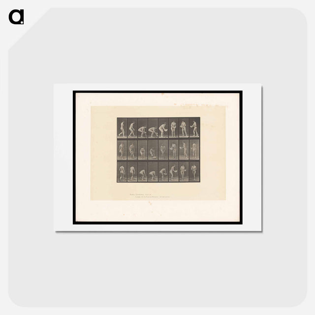 アートポストカード-Woman with Basin
 - エドワード マイブリッジ Postcard.