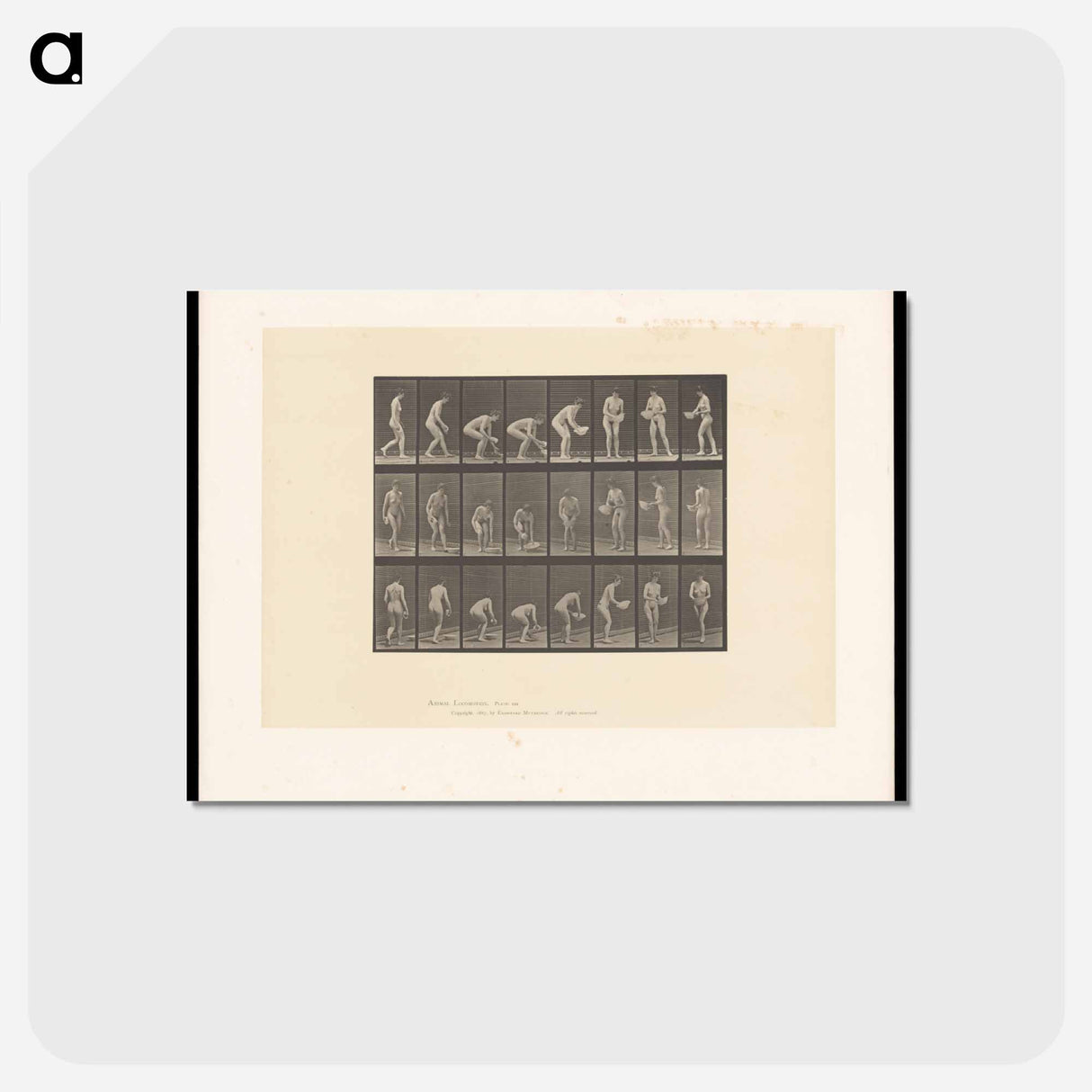 アートポストカード-Woman with Basin
 - エドワード マイブリッジ Postcard.