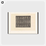 アートポストカード-Woman with Basin
 - エドワード マイブリッジ Postcard.