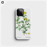 Potentilla frutescens - ピエール ジョゼフ ルドゥーテ Phone Case.