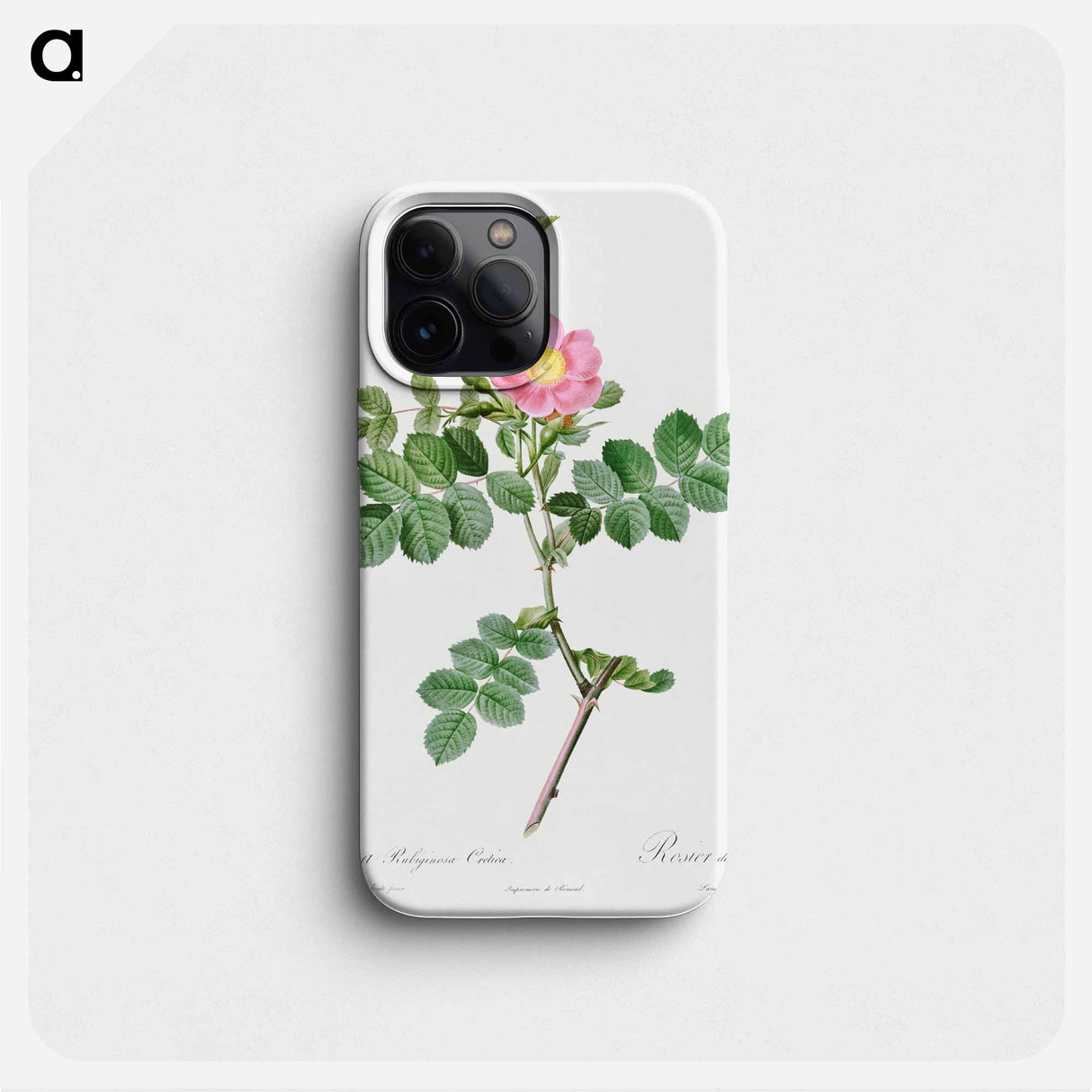 Sweet-Brier Rosebush - ピエール ジョゼフ ルドゥーテ Phone Case.