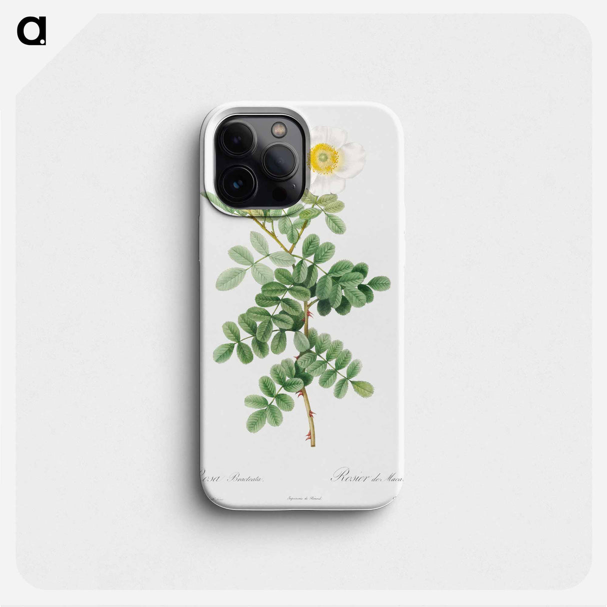 Macartney Rose - Pierre Joseph Redouté Phone Case.