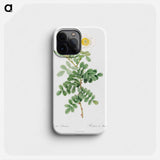 Macartney Rose - Pierre Joseph Redouté Phone Case.