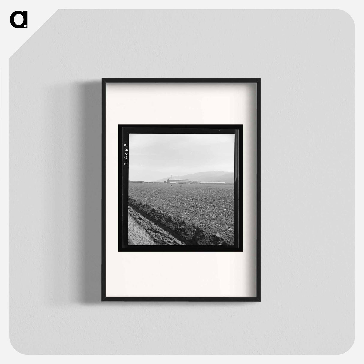 Untitled photo, possibly related to: Spreckels sugar factory and sugar beet field with Mexican and Filipino workers thinning sugar beets. - ドロテア ラング Poster.