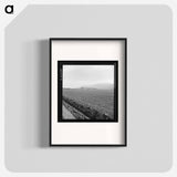 Untitled photo, possibly related to: Spreckels sugar factory and sugar beet field with Mexican and Filipino workers thinning sugar beets. - ドロテア ラング Poster.