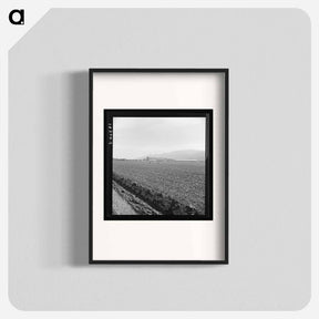 アートポスター-Untitled photo, possibly related to: Spreckels sugar factory and sugar beet field with Mexican and Filipino workers thinning sugar beets. - ドロテア ラング Poster.