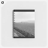 Untitled photo, possibly related to: Spreckels sugar factory and sugar beet field with Mexican and Filipino workers thinning sugar beets. - ドロテア ラング Memo.