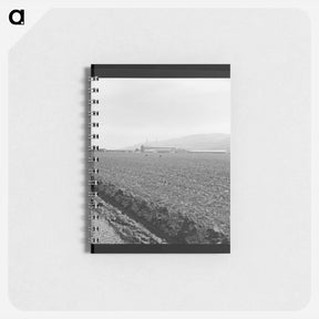 アートメモ帳-Untitled photo, possibly related to: Spreckels sugar factory and sugar beet field with Mexican and Filipino workers thinning sugar beets. - ドロテア ラング Memo.