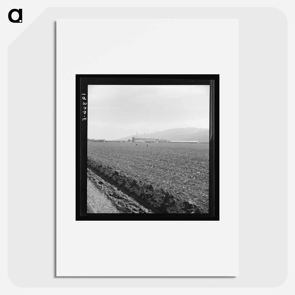 Untitled photo, possibly related to: Spreckels sugar factory and sugar beet field with Mexican and Filipino workers thinning sugar beets. - ドロテア ラング Poster.