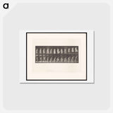 アートポストカード-Woman Ascending
 - エドワード マイブリッジ Postcard.